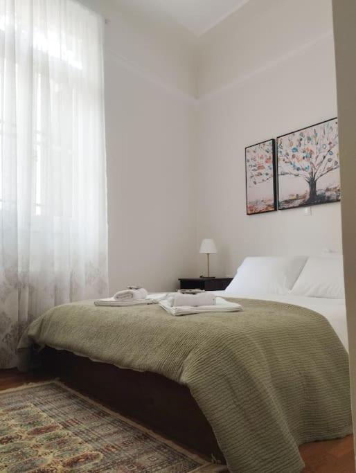 Calliope'S Neoclassical Home In The Heart Of Plaka Athens Exterior photo